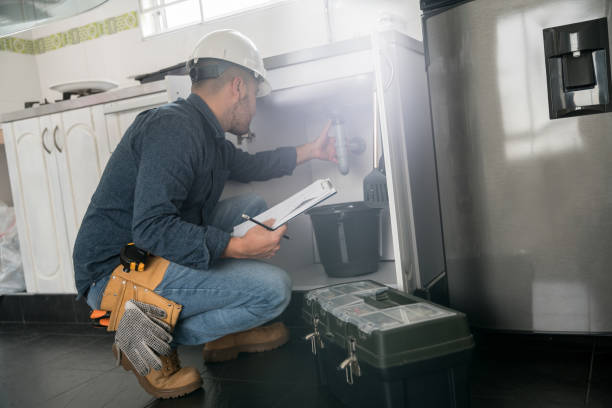 Best Affordable Plumbing Services  in Royalton, MN