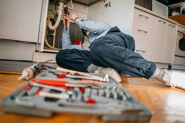 Best Toilet Repair Services  in Royalton, MN