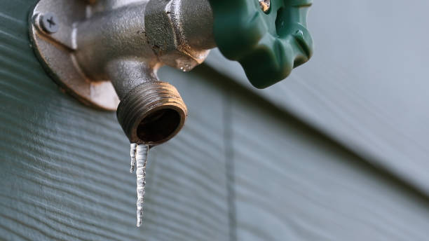 Best Best Plumbers Near Me  in Royalton, MN