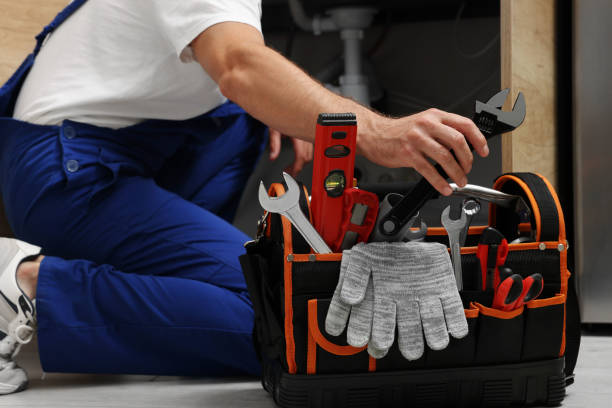 Best Plumbing Services Near Me  in Royalton, MN